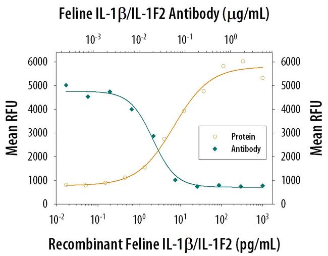 IL-1 beta Antibody in Neutralization (Neu)