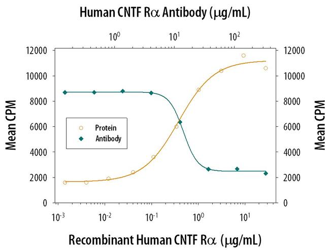CNTFR Antibody in Neutralization (Neu)