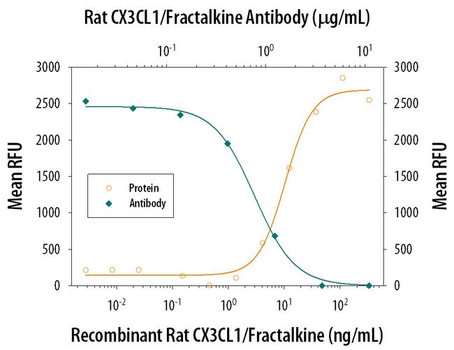 CX3CL1 Antibody in Neutralization (Neu)