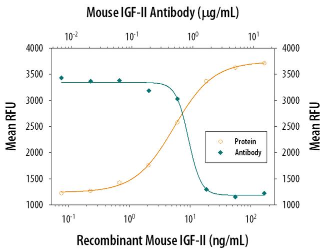 IGF2 Antibody in Neutralization (Neu)