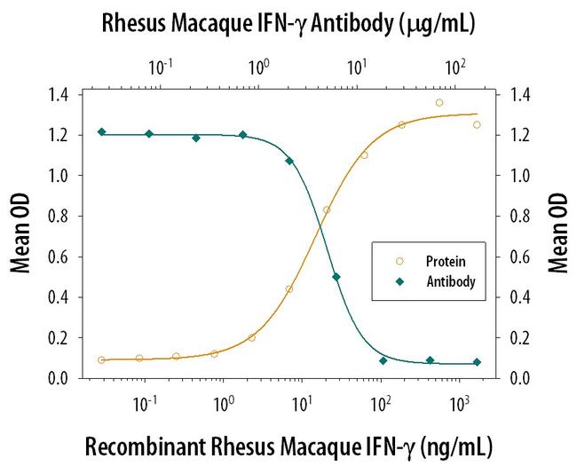 IFN gamma Antibody in Neutralization (Neu)