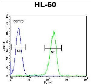 OR2F2 Antibody in Flow Cytometry (Flow)