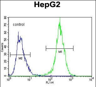 MRFAP1L1 Antibody in Flow Cytometry (Flow)