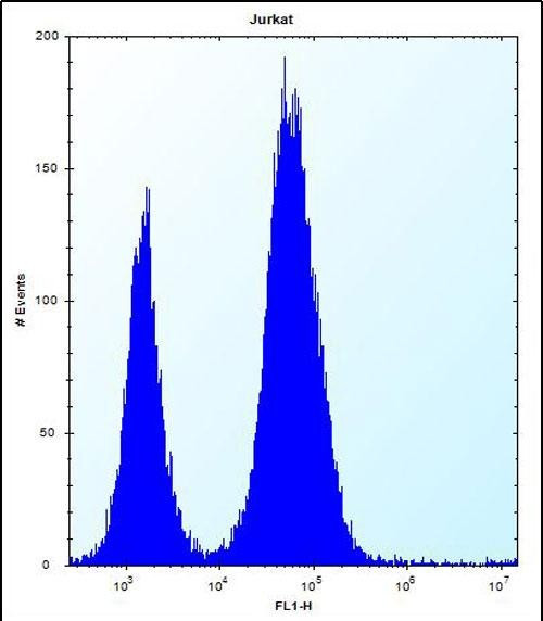 DULLARD Antibody in Flow Cytometry (Flow)