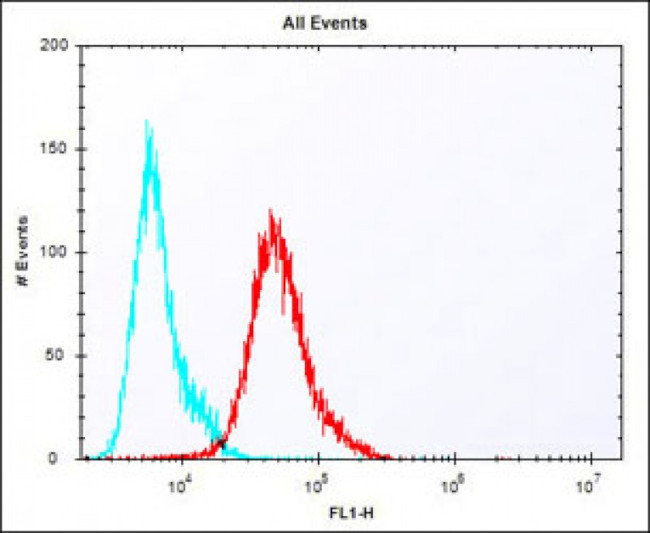 PBK Antibody in Flow Cytometry (Flow)