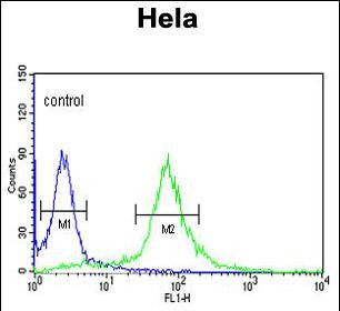 PI4KB Antibody in Flow Cytometry (Flow)