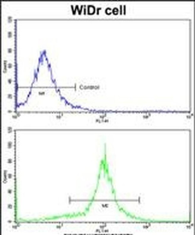 ACADM Antibody in Flow Cytometry (Flow)