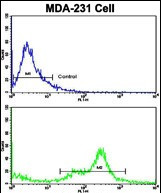 Complement C6 Antibody in Flow Cytometry (Flow)