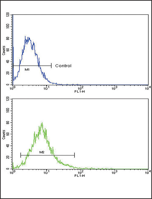 ATF6 Antibody in Flow Cytometry (Flow)