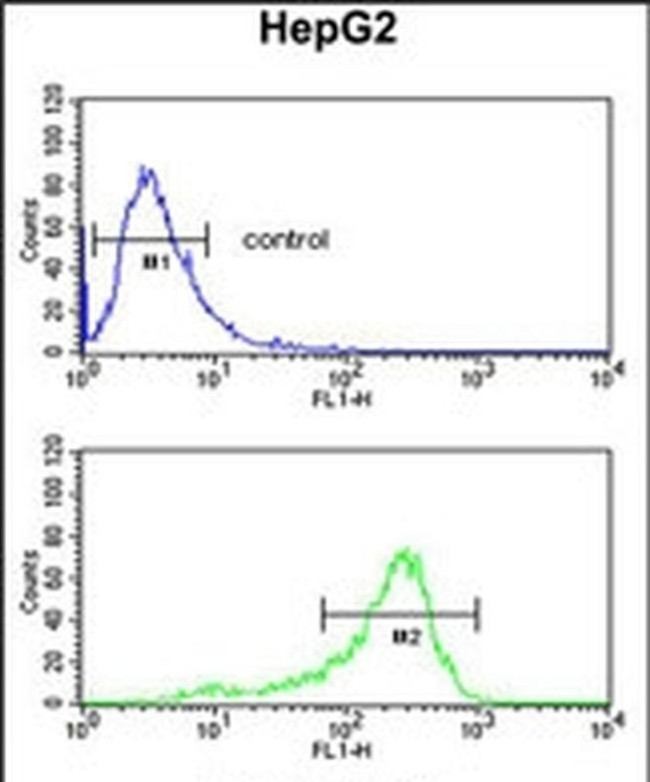 ACY3 Antibody in Flow Cytometry (Flow)