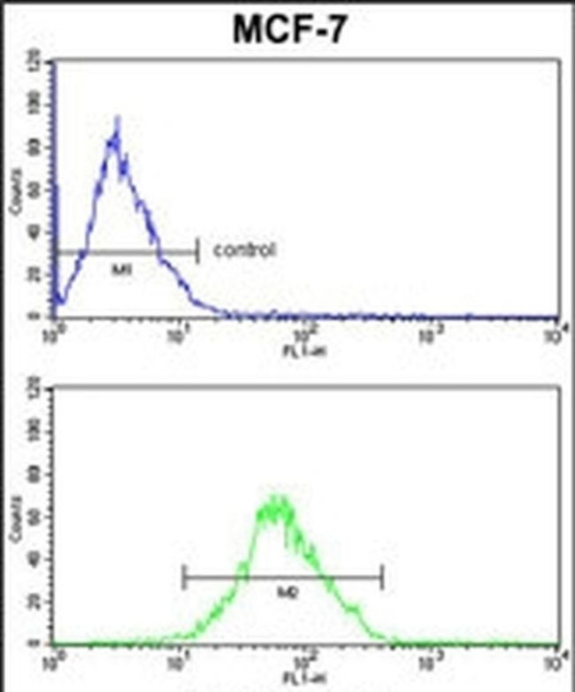 p41-ARCb Antibody in Flow Cytometry (Flow)