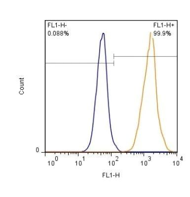 GLAST Antibody in Flow Cytometry (Flow)