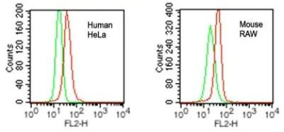 VPRBP Antibody in Flow Cytometry (Flow)