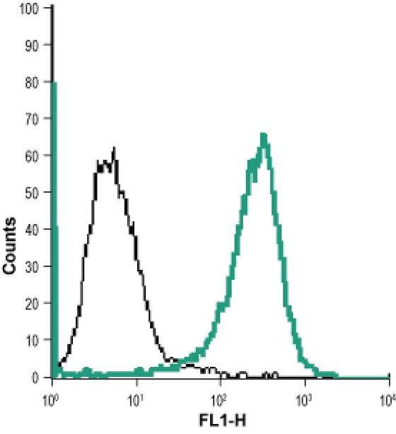 PTGER1 (extracellular) Antibody in Flow Cytometry (Flow)