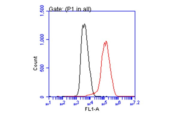 PCSK9 Antibody in Flow Cytometry (Flow)