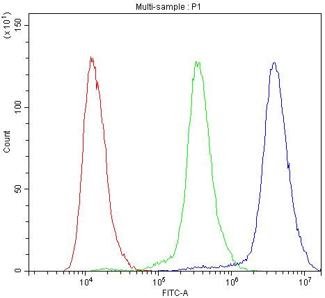 alpha Actinin 3 Antibody in Flow Cytometry (Flow)