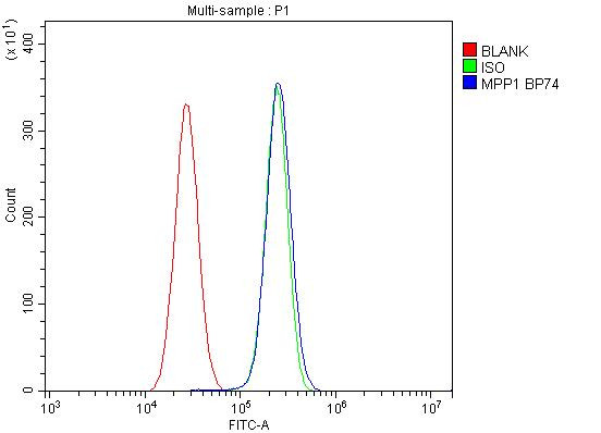 MPP1 Antibody in Flow Cytometry (Flow)