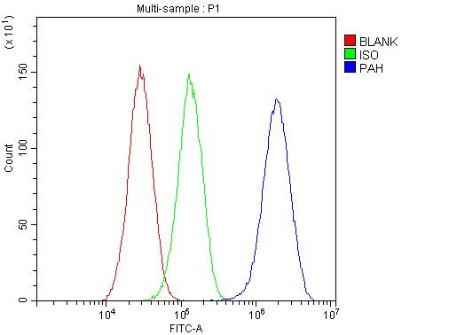 PAH Antibody in Flow Cytometry (Flow)