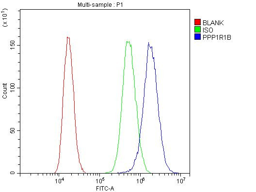 DARPP-32 Antibody in Flow Cytometry (Flow)