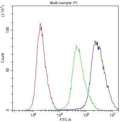 PTP4A2 Antibody in Flow Cytometry (Flow)