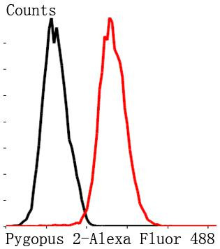 PYGO2 Antibody in Flow Cytometry (Flow)