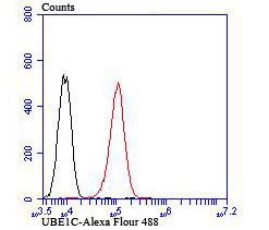 UBA3 Antibody in Flow Cytometry (Flow)