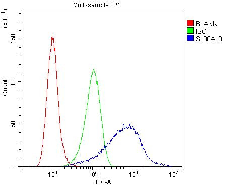 S100A10 Antibody in Flow Cytometry (Flow)