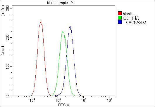 CACNA2D2 Antibody in Flow Cytometry (Flow)