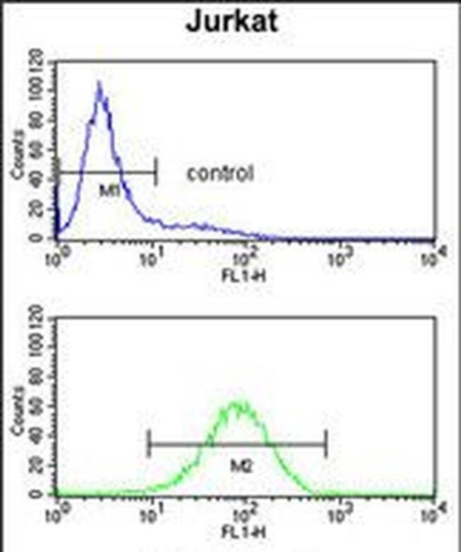 PLCL1 Antibody in Flow Cytometry (Flow)