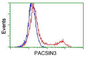 PACSIN3 Antibody in Flow Cytometry (Flow)
