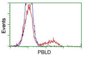 PBLD Antibody in Flow Cytometry (Flow)
