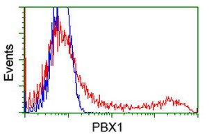 PBX1 Antibody in Flow Cytometry (Flow)