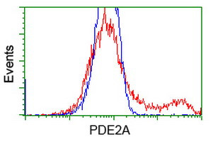 PDE2A Antibody in Flow Cytometry (Flow)