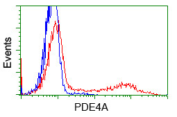 PDE4A Antibody in Flow Cytometry (Flow)