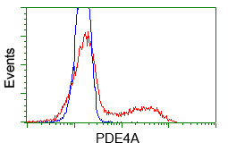 PDE4A Antibody in Flow Cytometry (Flow)