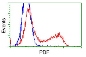 PDF Antibody in Flow Cytometry (Flow)