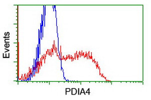 PDIA4 Antibody in Flow Cytometry (Flow)