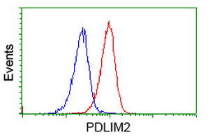 PDLIM2 Antibody in Flow Cytometry (Flow)