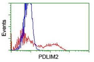 PDLIM2 Antibody in Flow Cytometry (Flow)