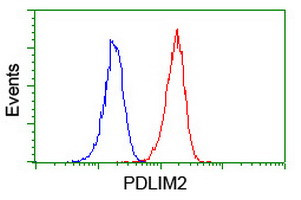 PDLIM2 Antibody in Flow Cytometry (Flow)