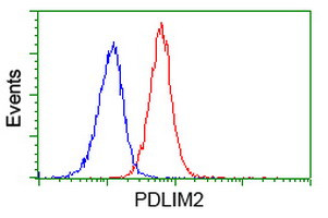 PDLIM2 Antibody in Flow Cytometry (Flow)