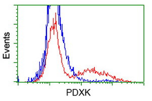 PDXK Antibody in Flow Cytometry (Flow)
