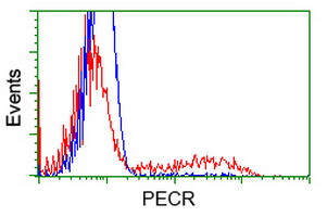 PECR Antibody in Flow Cytometry (Flow)