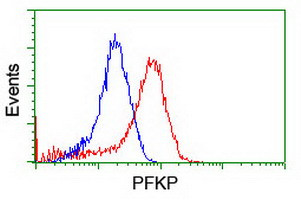 PFKP Antibody in Flow Cytometry (Flow)