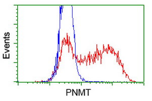 PNMT Antibody in Flow Cytometry (Flow)