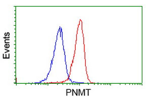 PNMT Antibody in Flow Cytometry (Flow)