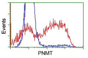 PNMT Antibody in Flow Cytometry (Flow)