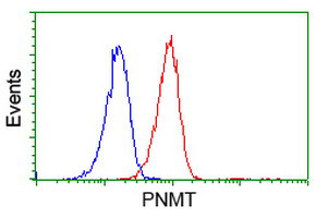 PNMT Antibody in Flow Cytometry (Flow)