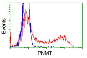 PNMT Antibody in Flow Cytometry (Flow)