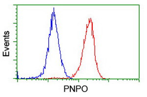 PNPO Antibody in Flow Cytometry (Flow)